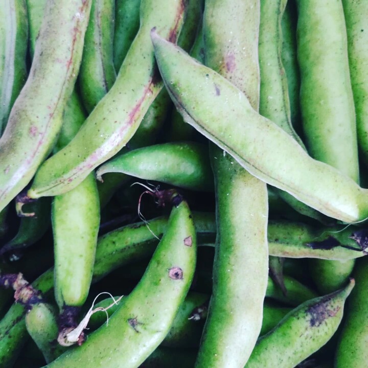 489747438_18472364164066958_303947089322655625_n.j