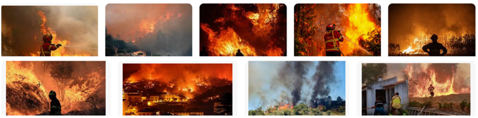 Captura de ecrã 2025-08-01 102544.png