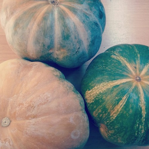 14724350_779072702232493_973145176958576755_n.jpg 14724350_779072702232493_973145176958576755_n.jpg