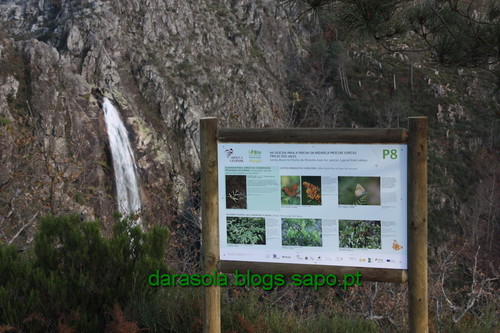 Biodiversidade_Freita_26.JPG Biodiversidade_Freita_26.JPG