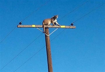 ng4804387.jpg ng4804387.jpg