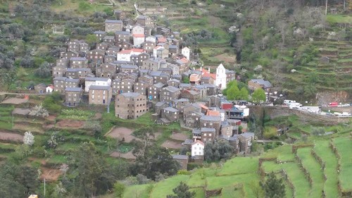 piodao_n.jpg
