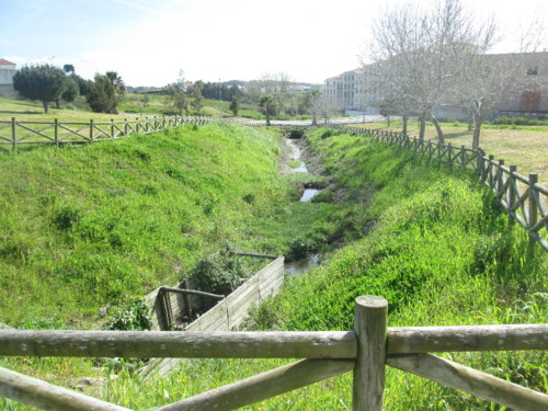 IMG_5551.JPG IMG_5551.JPG