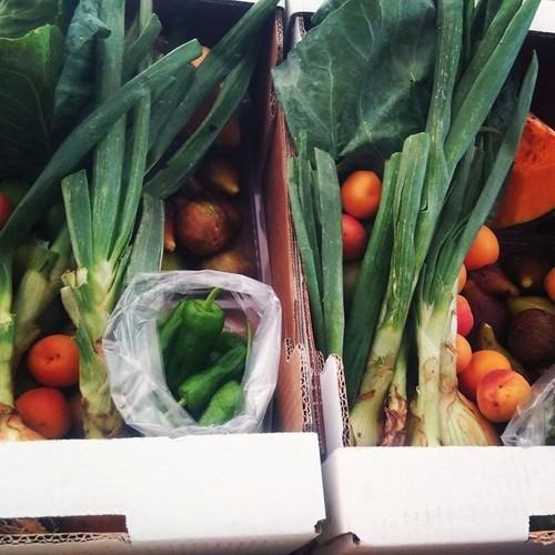 11018093_588164804656618_8833704873336146824_n.jpg 11018093_588164804656618_8833704873336146824_n.jpg