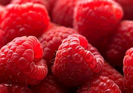 framboesas2_GR.jpg framboesas2_GR.jpg