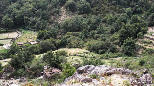 bordença1.jpeg bordença1.jpeg