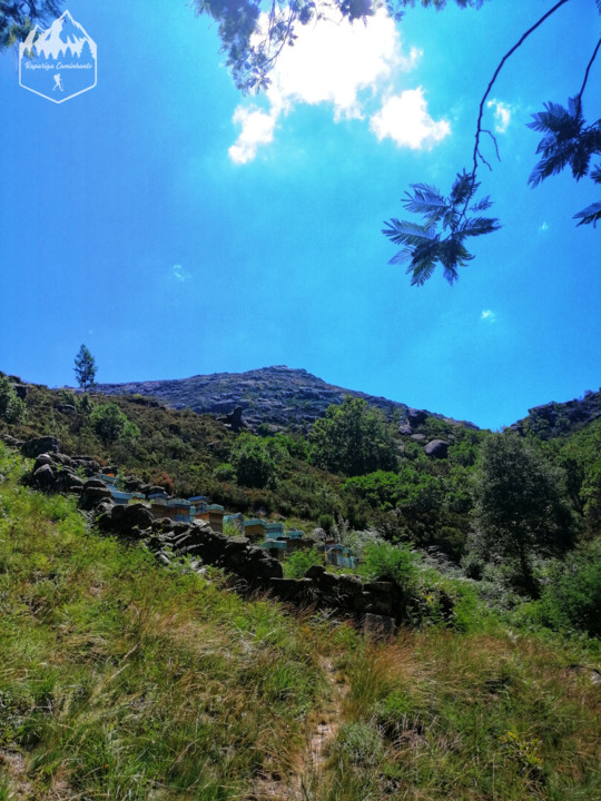 Photo_1598340986415.jpg Photo_1598340986415.jpg