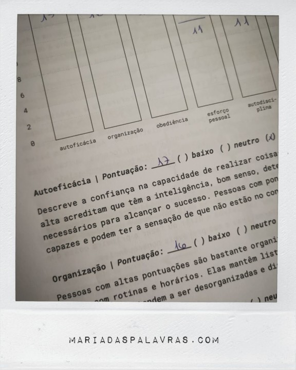 Curso Feneute - Planeje sua Vida - Caderno de Exercicios - Maria das Palavras