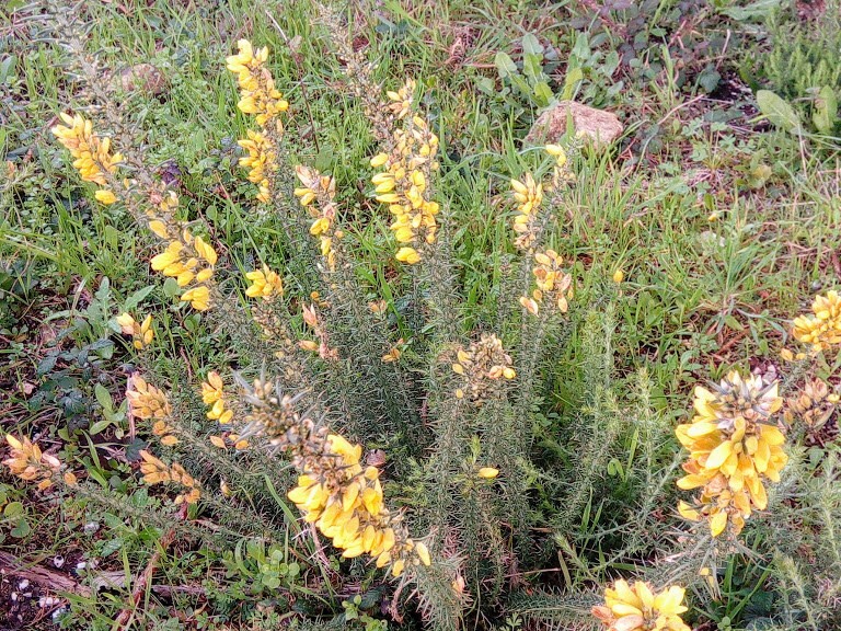 81913512_2806078709423678_4132077405713989632_n.jp