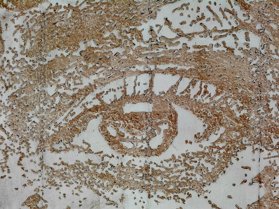 Vhils em Beja (1).jpg