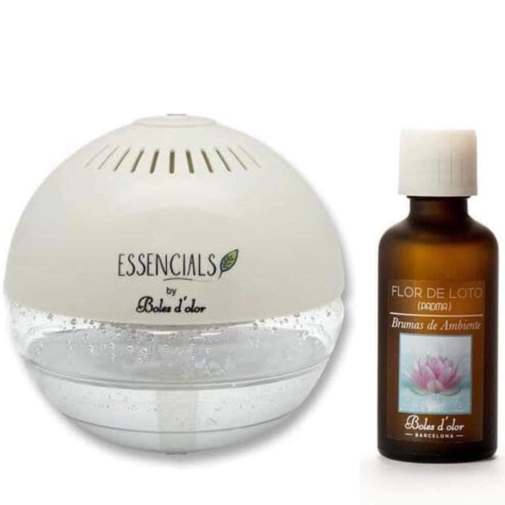 85213553_2582767888674495_4015360836221534208_n.jp