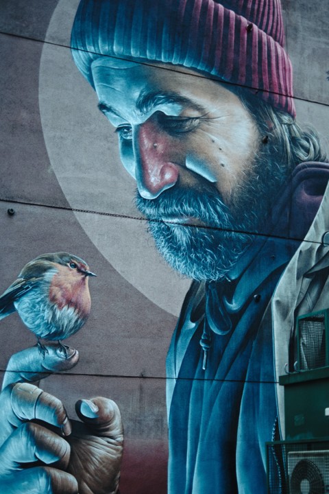 Eu, o Merdas, Roberto Gamito