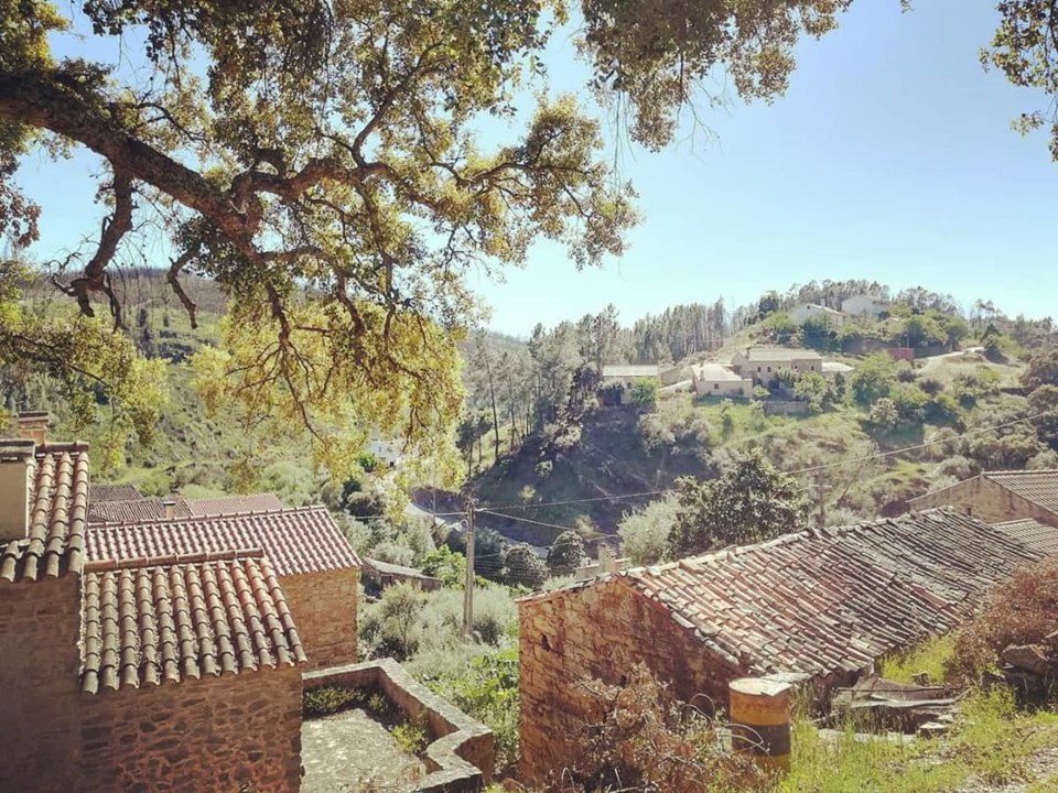 67294937_10156620206968565_3614986166731800576_o.j