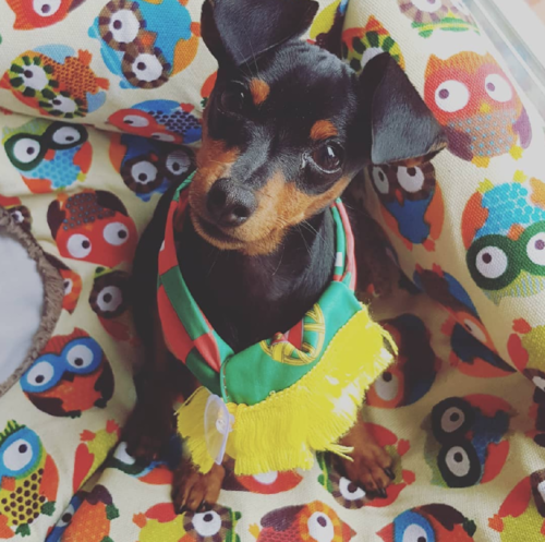 Captura de ecrã 2018-10-04, às 21.37.42.png