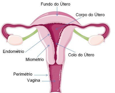 utero1.jpg utero1.jpg