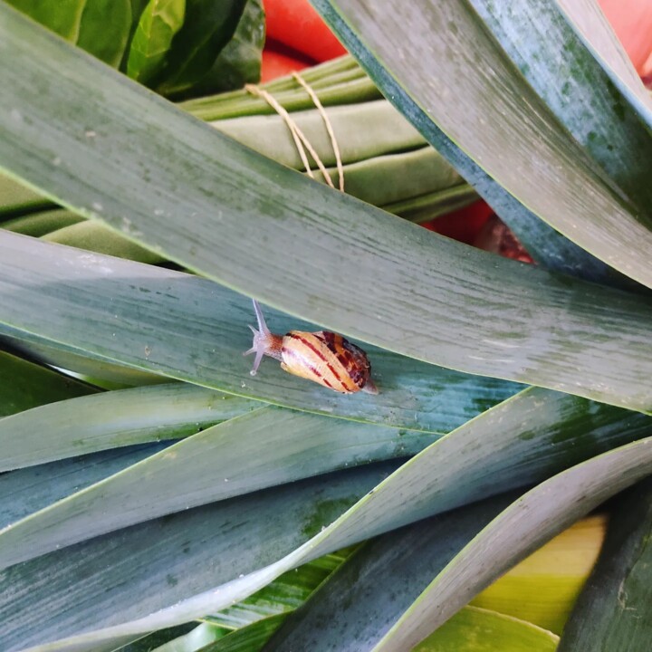 424996707_771293728361373_7401517214050008886_n.jp