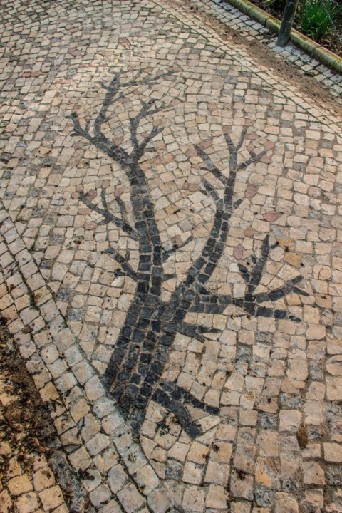 jardim cesario verde 2.jpg