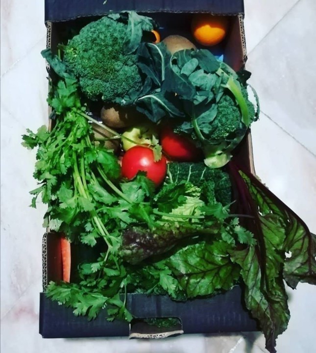 88114958_1633099456829809_1854900356853530624_o.jp 88114958_1633099456829809_1854900356853530624_o.jp