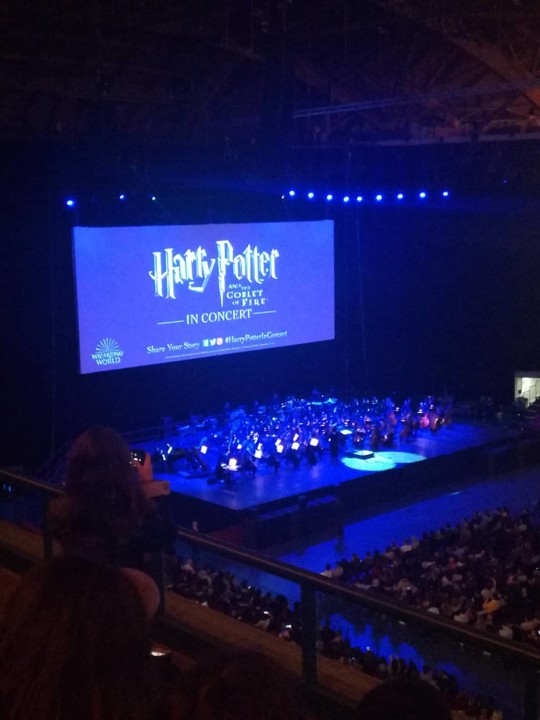 86661816_2720718791339450_3803521615979872256_n.jp