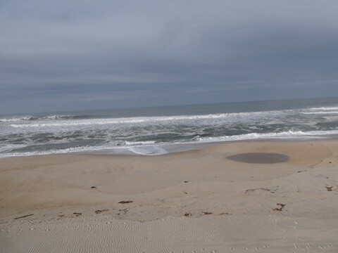 29b_Vagueira (8).JPG