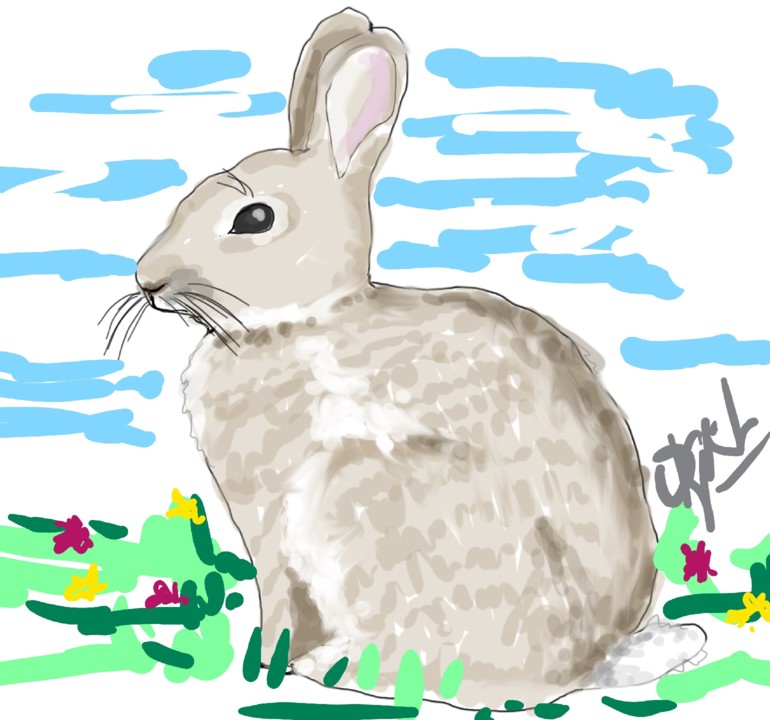 coelho adulto_LI (3).jpg coelho adulto_LI (3).jpg