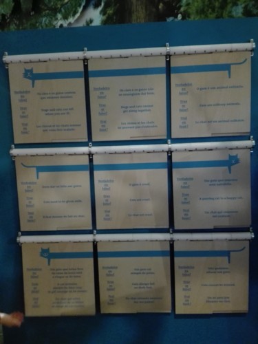 IMG_20190120_133859.jpg IMG_20190120_133859.jpg