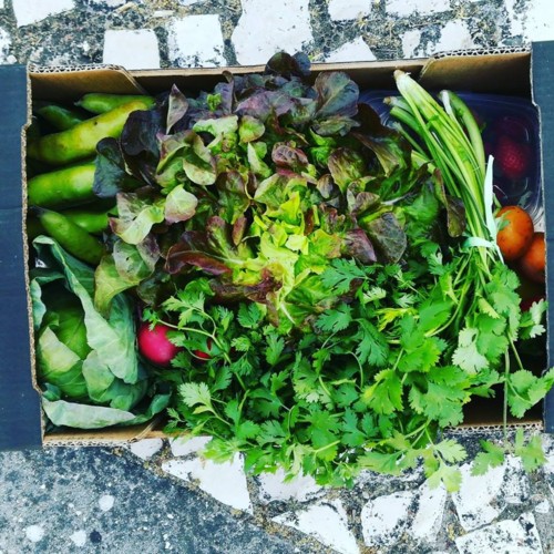 33342755_1100640713409022_5046436407858429952_n.jp 33342755_1100640713409022_5046436407858429952_n.jp