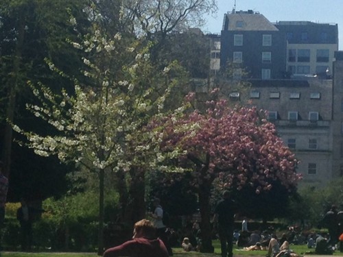 IMG_2018.JPG IMG_2018.JPG