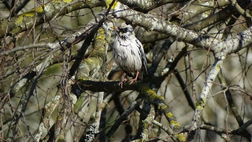 DSC00158.jpg DSC00158.jpg