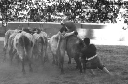 Cernelha Cabral e Maltez-Set.1963.jpg