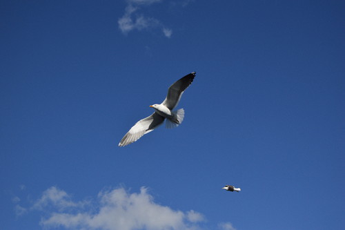 CruzeiroBaltico (129).JPG