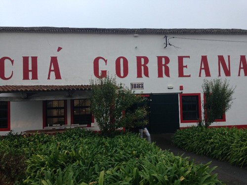 IMG_8536.jpg IMG_8536.jpg