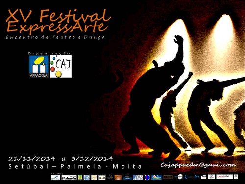 CARTAZ Festival Expressarte.jpg