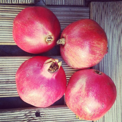 42462520_1213758332097259_5920178750393155584_n.jp 42462520_1213758332097259_5920178750393155584_n.jp