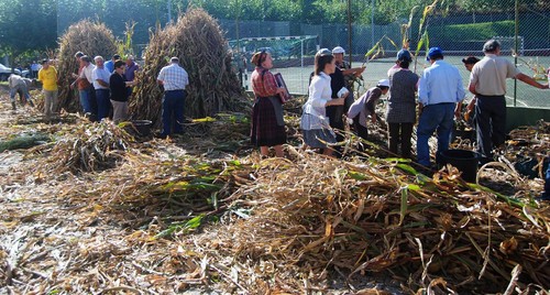 Padornelo Desfolhada 2014 f.jpg