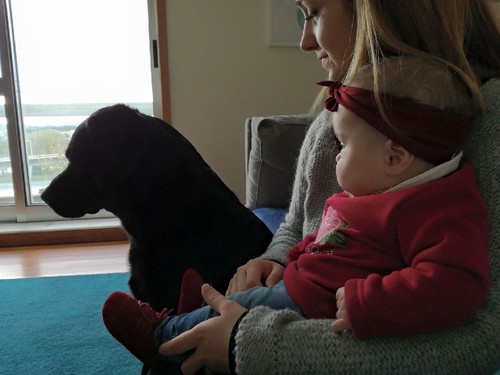 17505375_1329641270391626_6652065408823824692_o.jp