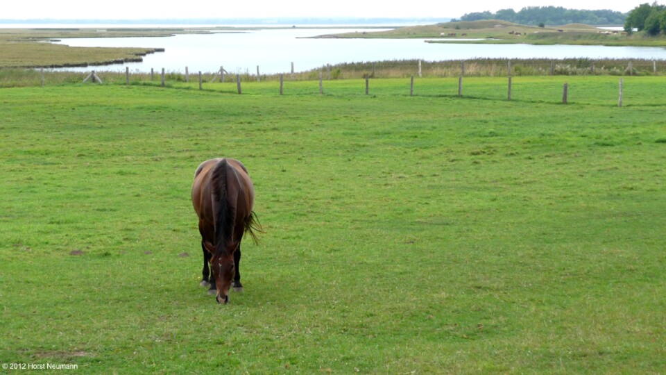 2012-08-28 Brandenhusen 32.JPG