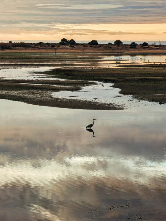 Pôr do sol rio Cávado Esposende.jpg