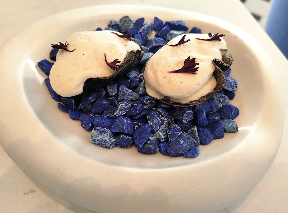 Ostra da Ria Formosa.jpg