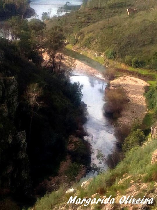 131382401_379920519966303_7894355106740406271_n.jp