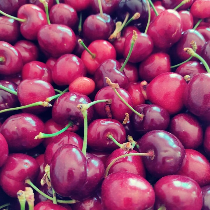 284571388_2320709811402100_8421077831313653486_n.j