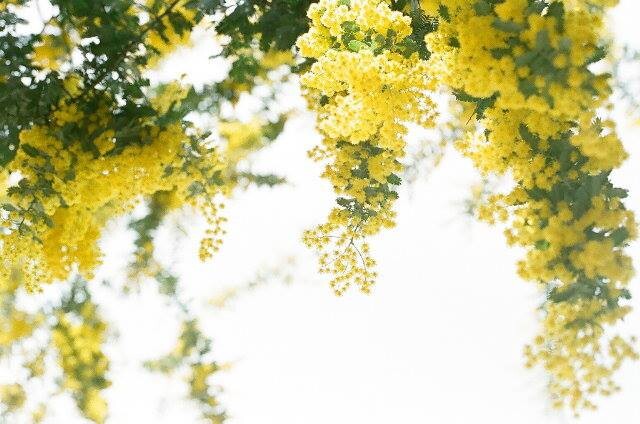 A Primavera chegou.jpg