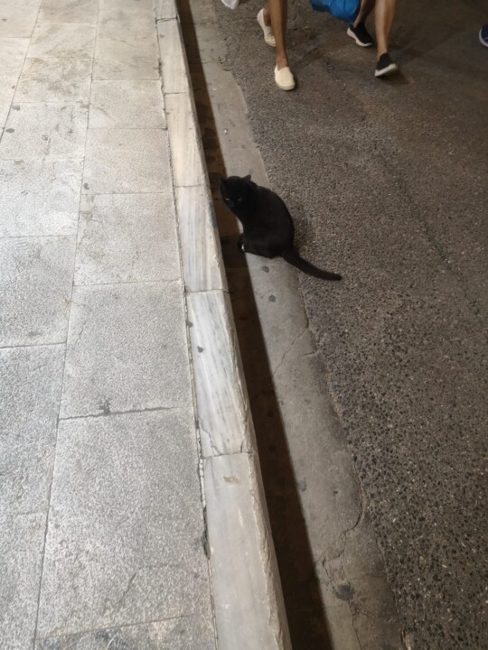 WhatsApp Image 2023-05-31 at 10.59.50.jpeg