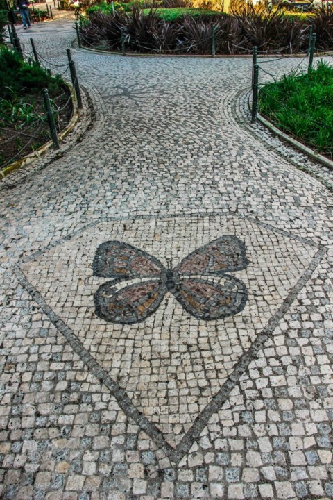 jardim cesario verde 4.jpg