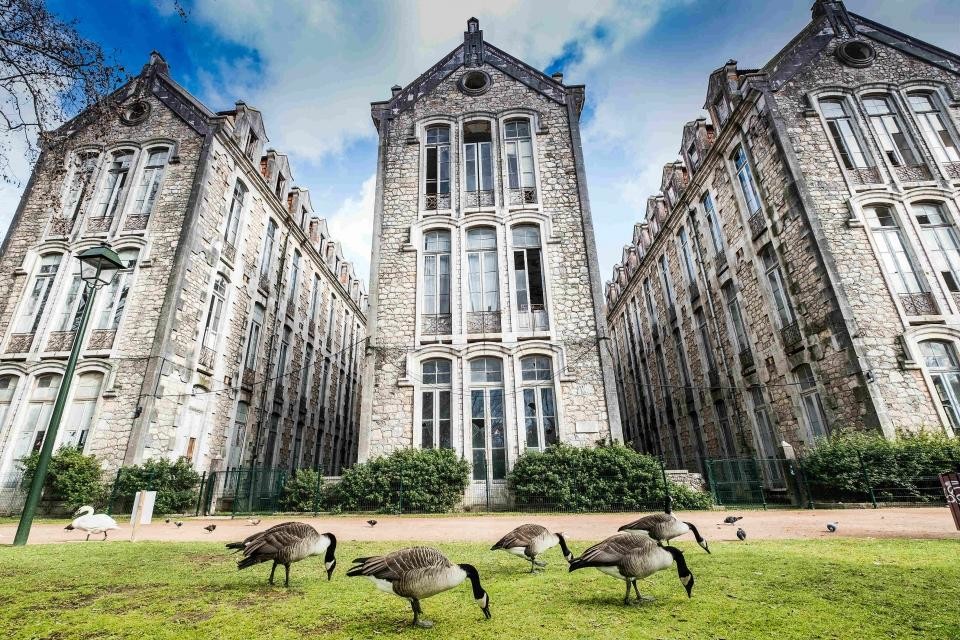 Parque_D_CarlosI_30691933_BINARY_GI25012018Orlando