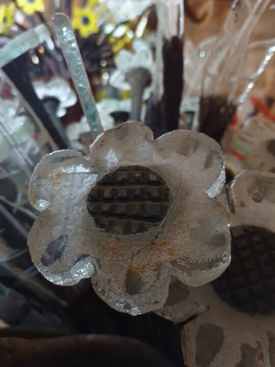 Não me canso disto flores.jpg