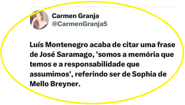 Captura de ecrã 2025-07-18 105026.png