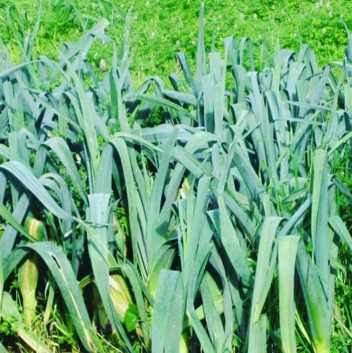 326076205_3368955646696235_6107282417249453694_n.j