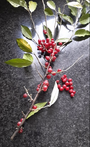 download (1).png download (1).png