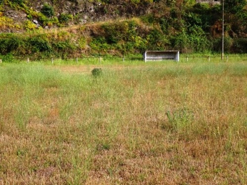 sandomil seixo e torroselo 2018 042.jpg